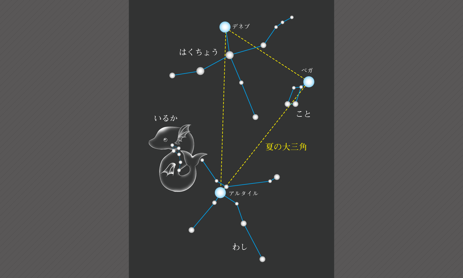 8月の星座