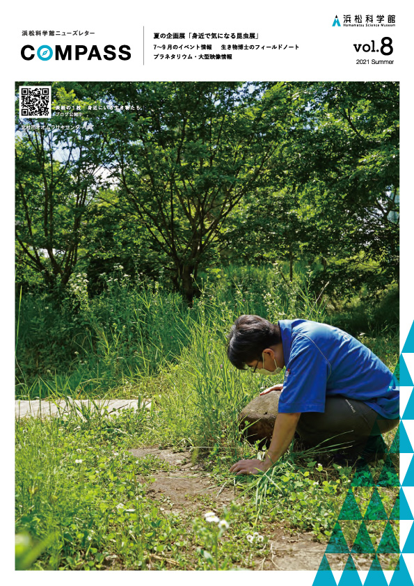 COMPASS8号