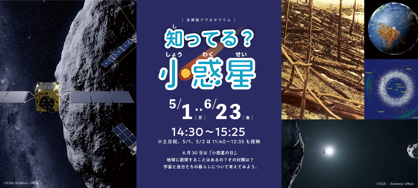 知ってる？小惑星