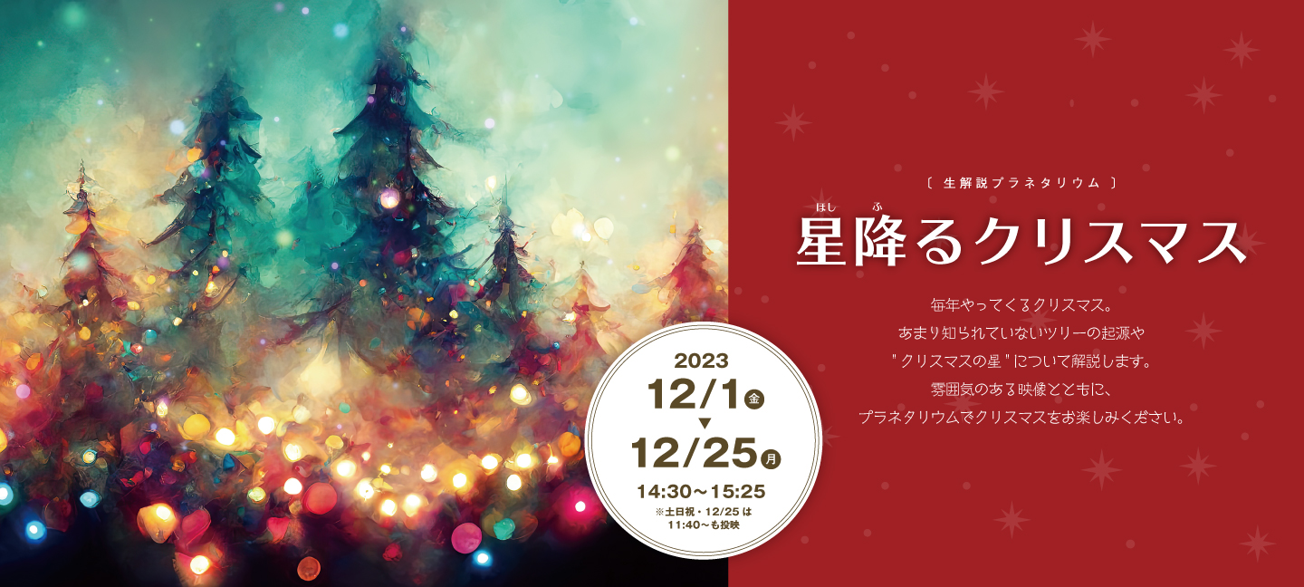 星降るクリスマス