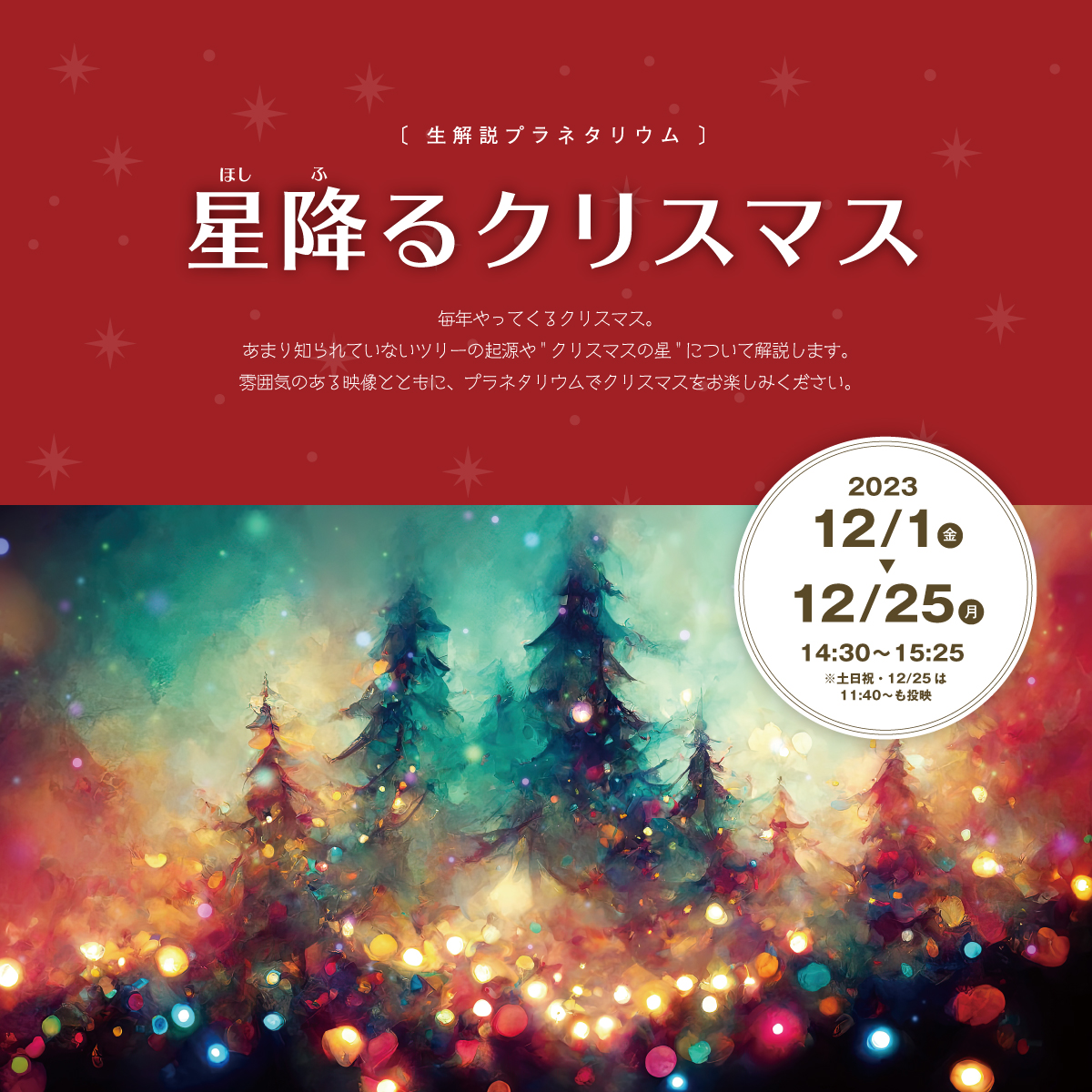 星降るクリスマス