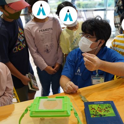 昆虫採集体験