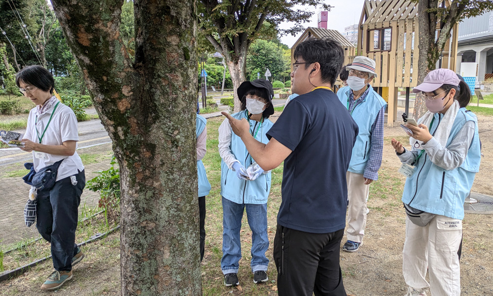 ボランティア活動:自然観察園の整備の様子