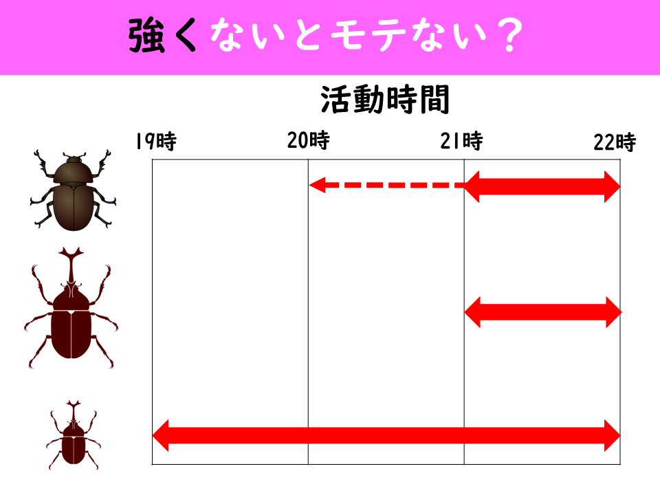 活動時間