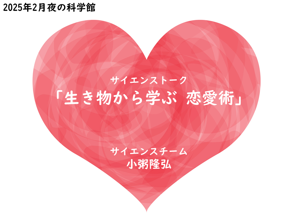生き物から学ぶ恋愛術