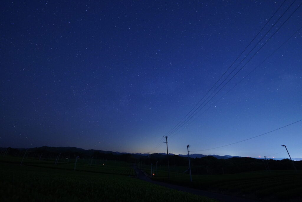 東の空に輝きを放つ金星
