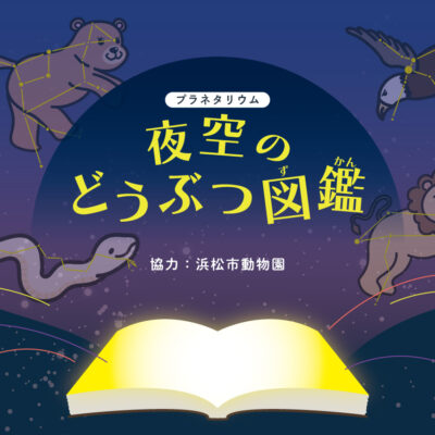 夜空のどうぶつ図鑑