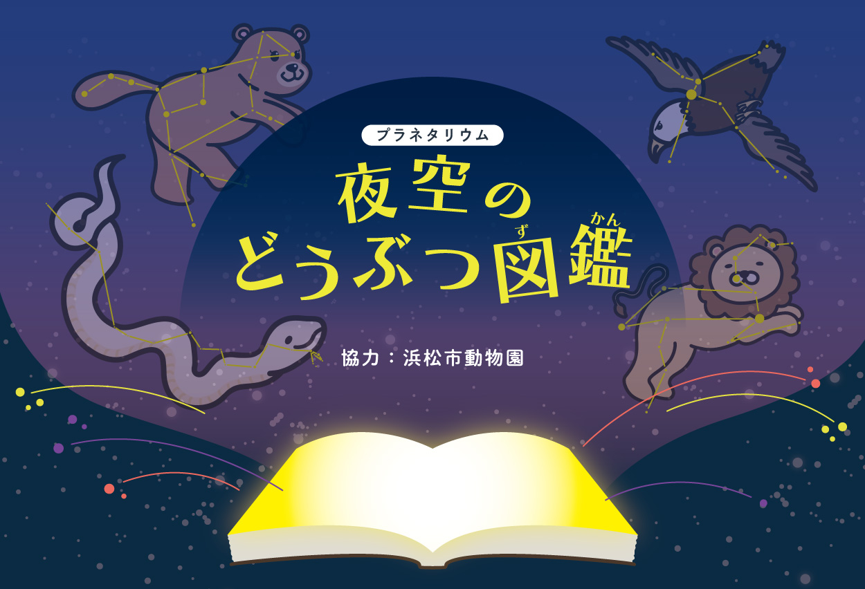 夜空のどうぶつ図鑑