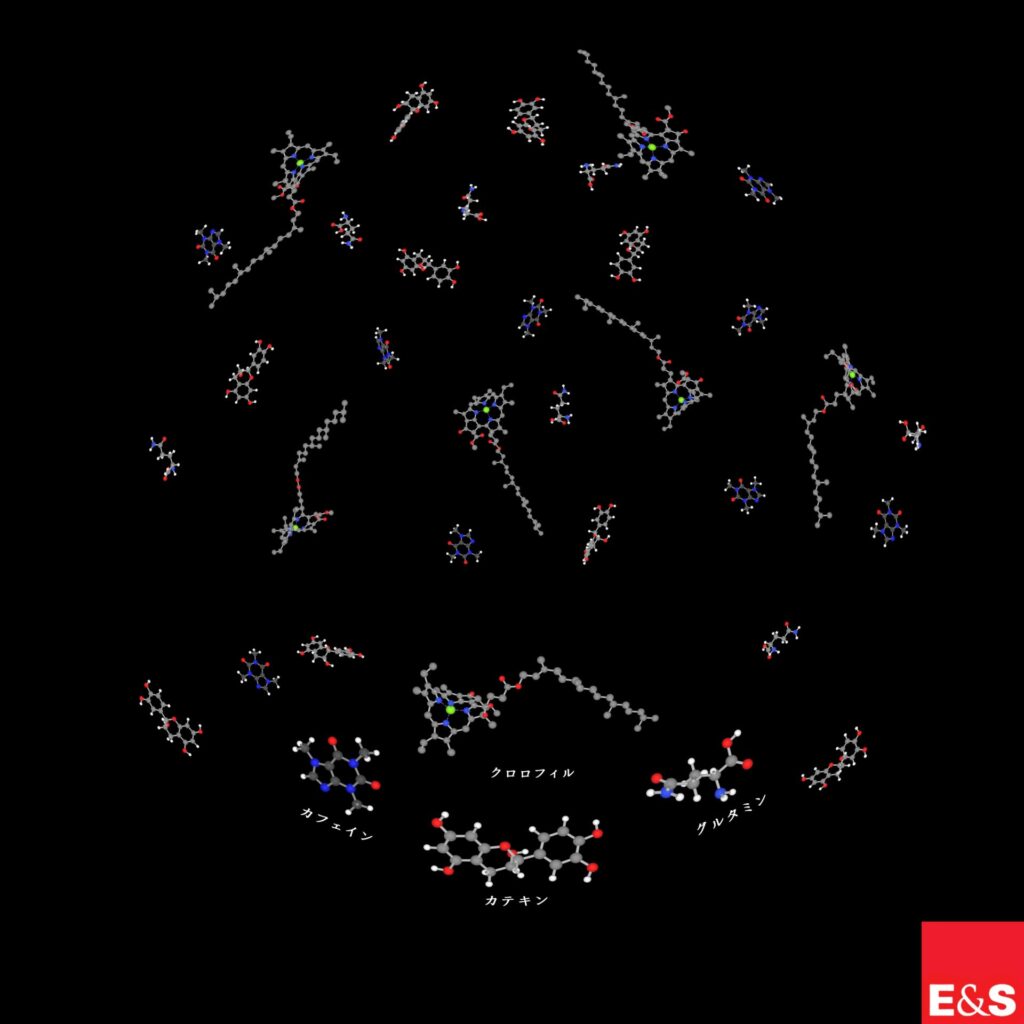 茶の分子構造