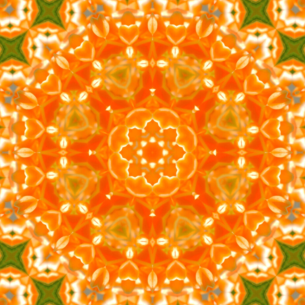 万華鏡_キンモクセイ