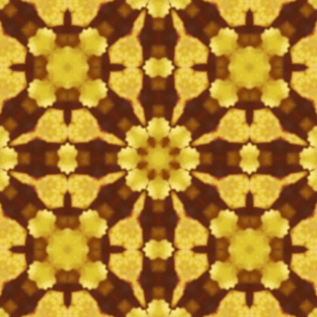 万華鏡_さつまいも