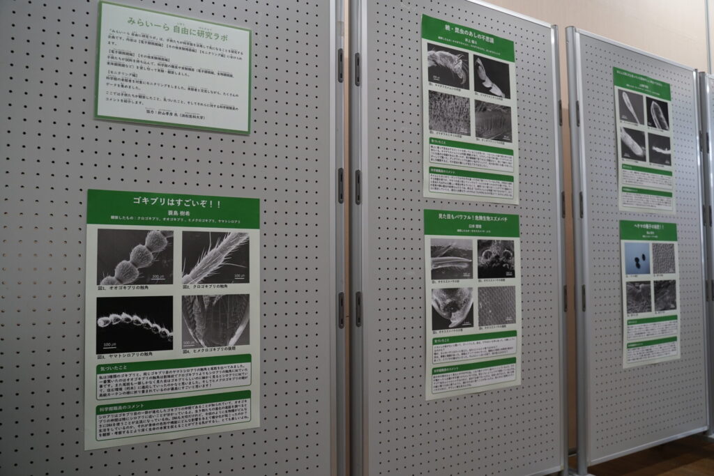 科学の学園祭2025_ポスター展示4