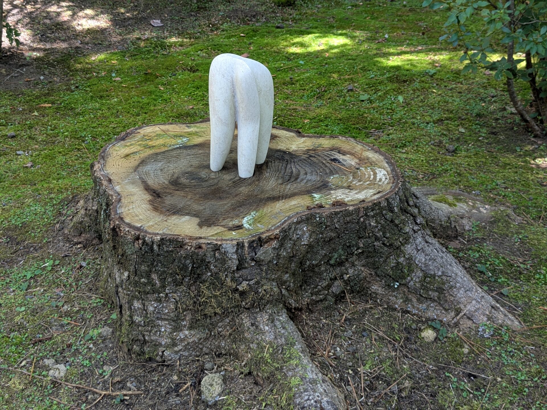 彫刻の居場所をみつけるWS