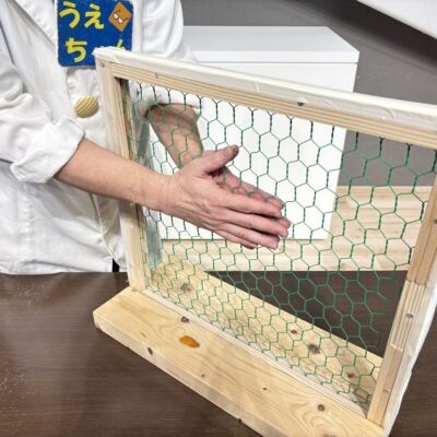 春の特別展2026_さわる!サイエンスショー