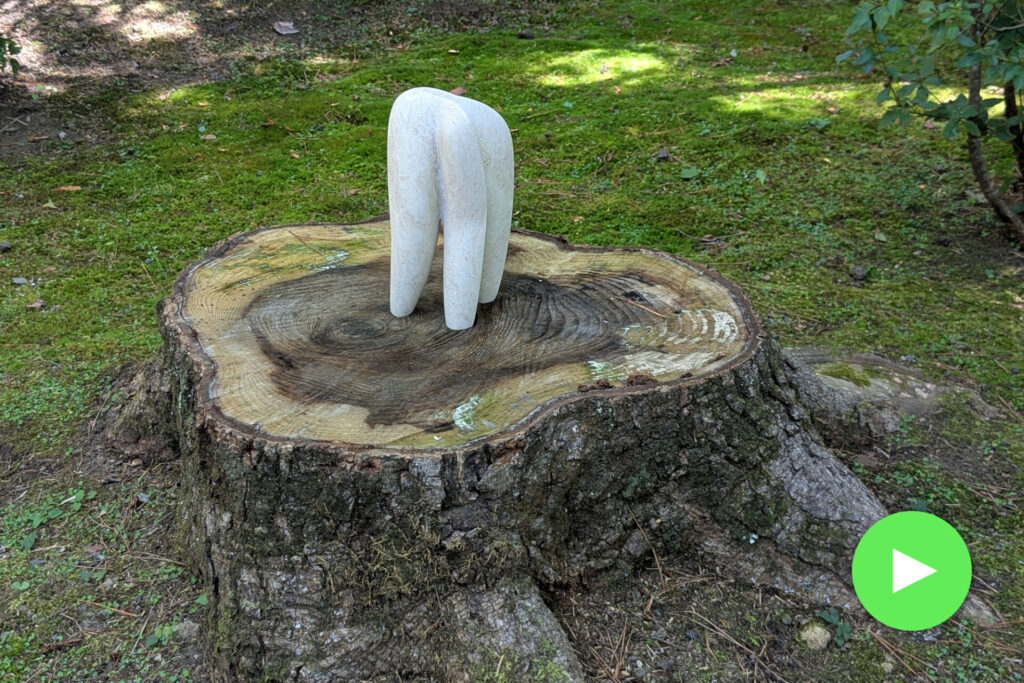 ユニバーサル・ミュージアム_彫刻の居場所を見つけるWS