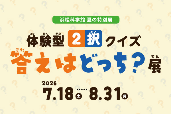 どっち展