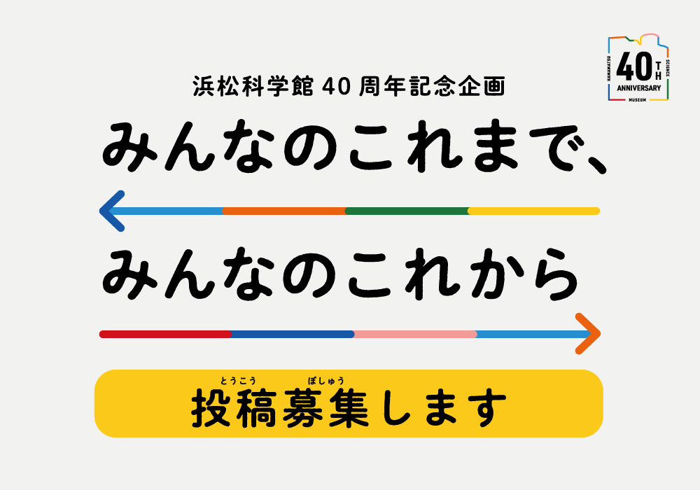 みんなのこれからこれまで_お知らせ
