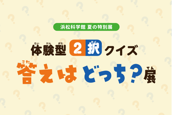 yoru_tokubetsuten_2608
